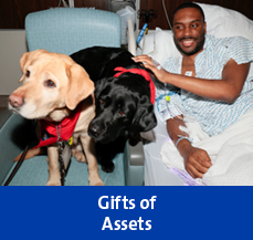 Rollover image of a man with a dog. Link to Gifts of Assets. Rollover image of a man with a dog. Link to Gifts of Assets.