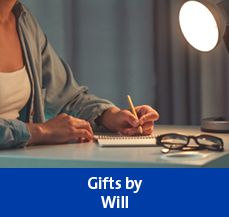 Rollover image of a woman writing. Link to Gifts by Will.