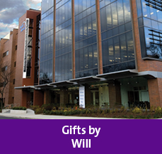 Gifts by Will Rollover. Link to Gifts by Will.