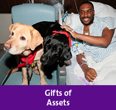 Rollover image of a man with a dog. Link to Gifts of Assets.